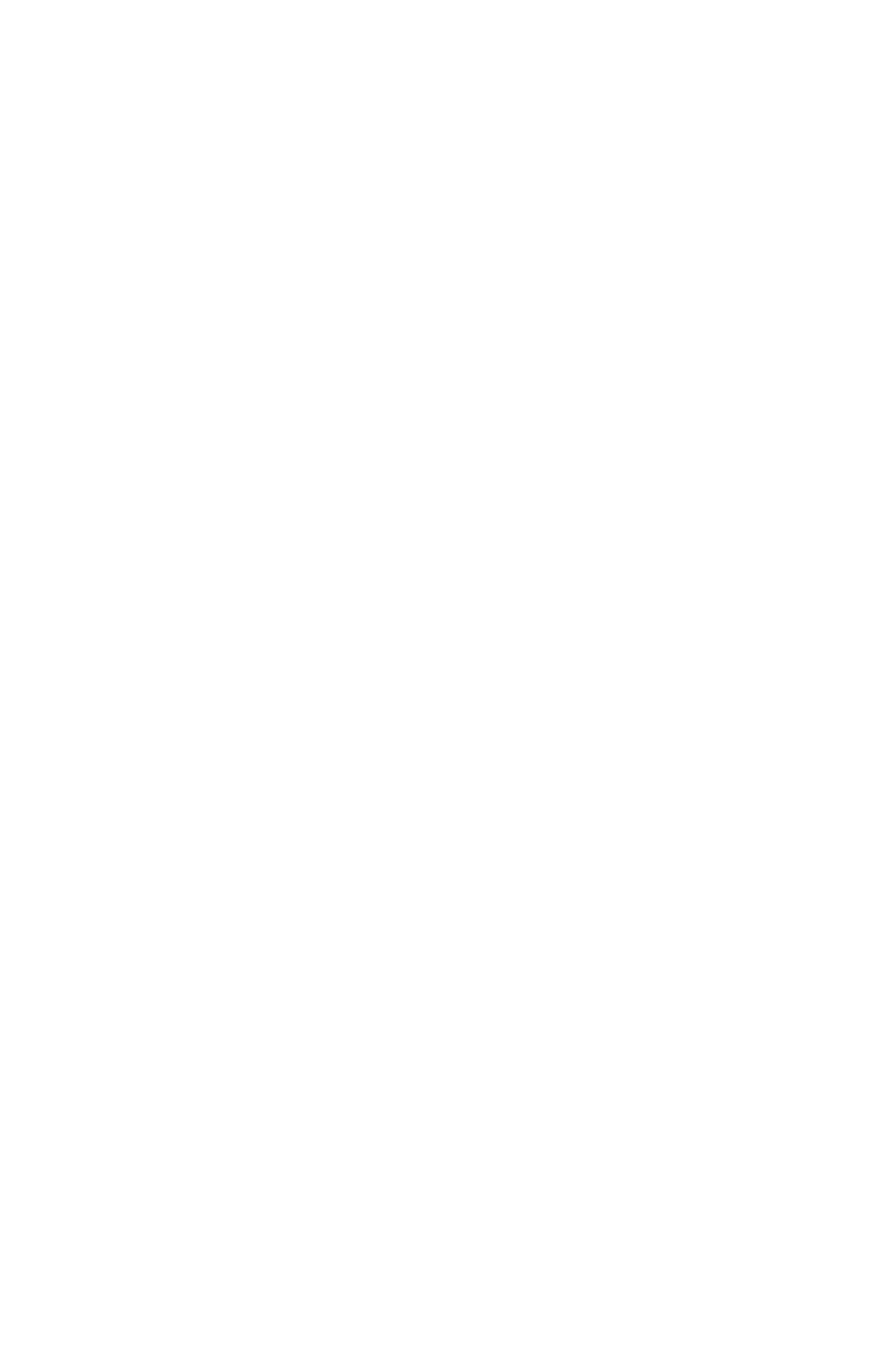 Wired Crow | Human-Centered Digital Strategy & Delivery